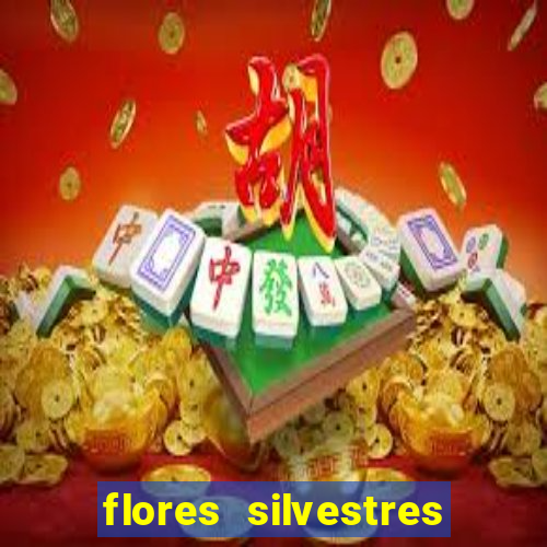 flores silvestres desbravadores desbravadores 25 flores silvestres e seus nomes